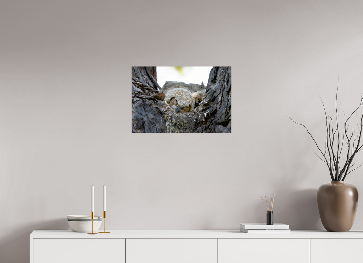 24 x 16″, Photo Print On Fuji Crystal DP II Watchful Sleep