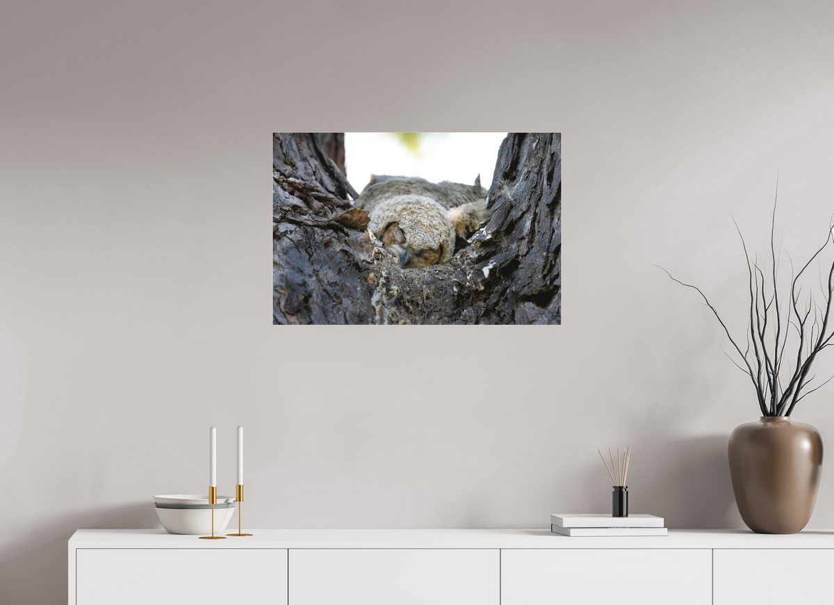 30 x 20″, Matte Acrylic Glass 16 x 12" Watchful Sleep