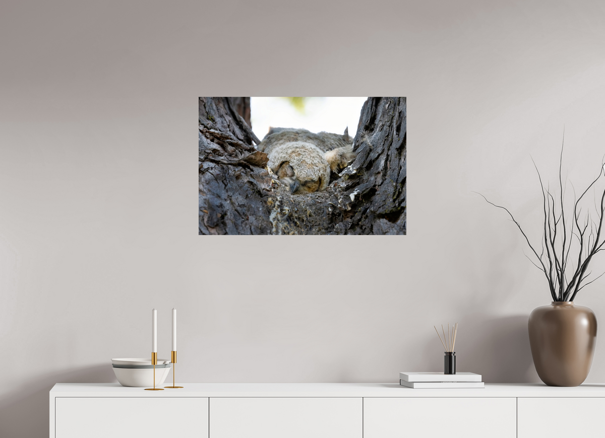 30 x 20″, Photo Print On Fuji Crystal DP II Watchful Sleep