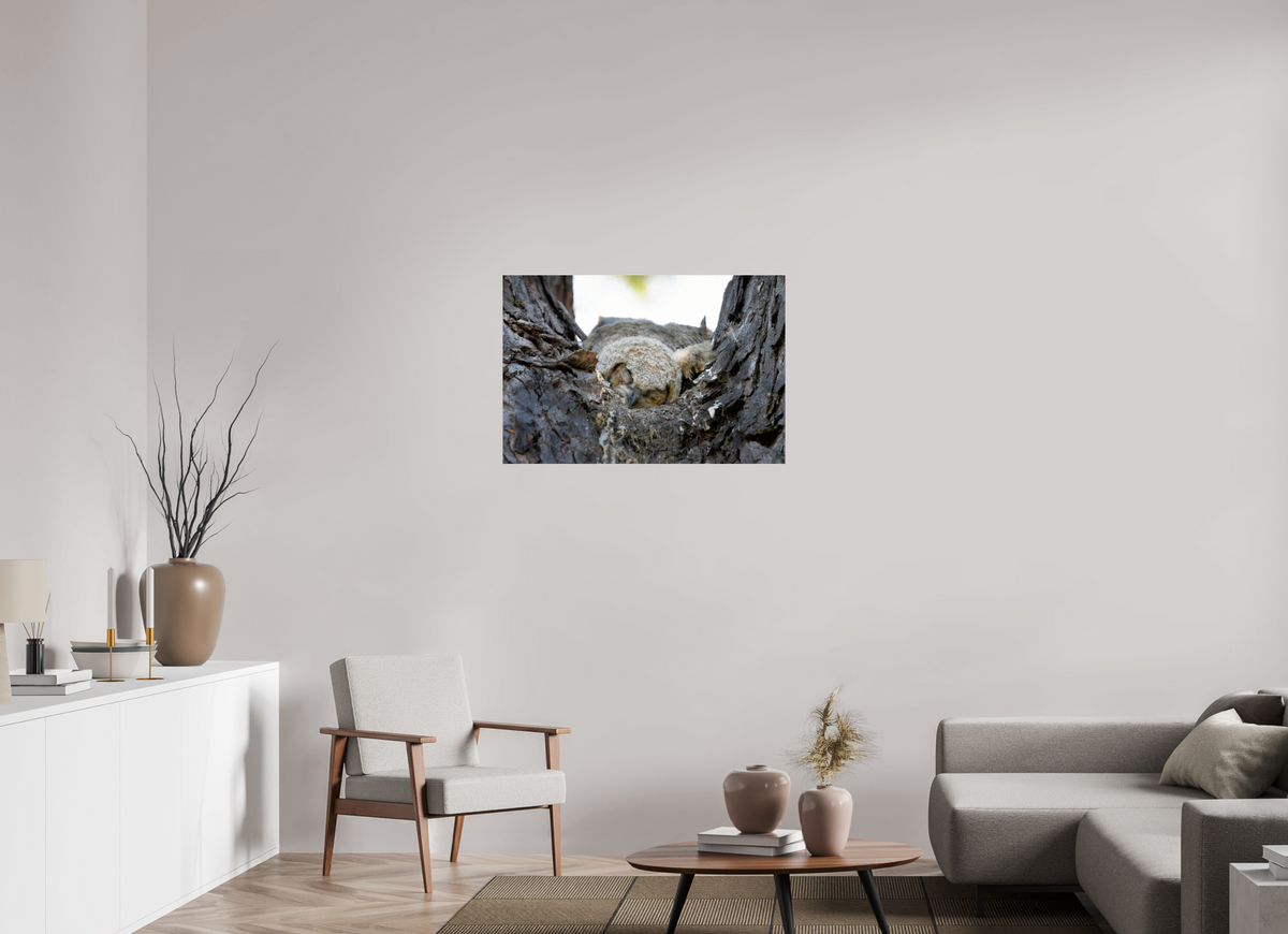 36 x 24″, Metal Under Acrylic - Glossy 16 x 12" Watchful Sleep